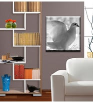Beyaz Güvercin Kanvas Tablo Hediyelik Dekoratif Tablo
