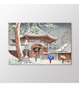 Arty Tablo Snow in Nan Endo Temple Tablo (Karışık)