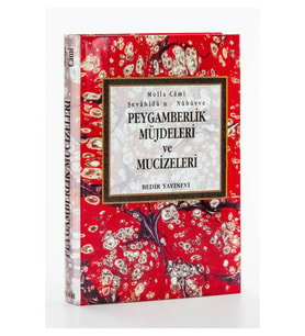 Peygamberlik Müjdeleri ve Mucizeleri