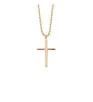 Rose Gümüş Cross Kolye