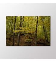 Arty Tablo Ağaçlar Tablo (Karışık)