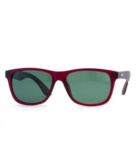 Toms Teddy Polarize/UV Güneş Gözlüğü Bordo TT6003-2C505M