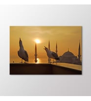 Arty Tablo Konuşan Martılar Tablo (Karışık)