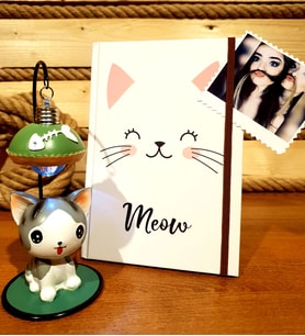 Kişiye Özel Fotoğraflı Kedi Defter Ve Okuma Lambası Arkadaşa Hediye