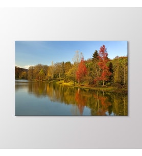Arty Tablo Atatürk Arboretumu Tablo (Karışık)