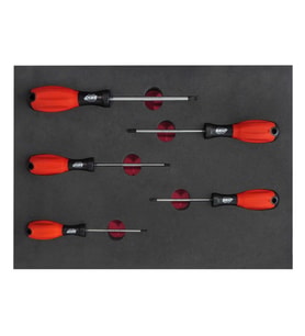 Brio Tornavida Seti Torx (Tork) 5 Parça T10-T30 Sünger Yataklı