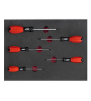 Brio Tornavida Seti Torx (Tork) 5 Parça T10-T30 Sünger Yataklı