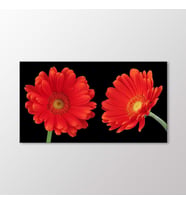 Arty Tablo Kırmızı Krizantemler Tablo (Karışık)