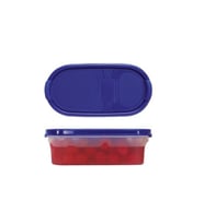 Tupperware Oval Kuru Gıda Saklama Kabı Oval 500 ml