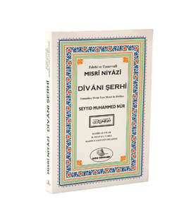 Niyazi Mısri Divanı Şerhi