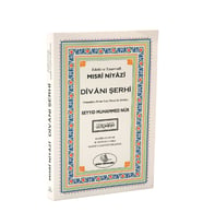 Niyazi Mısri Divanı Şerhi