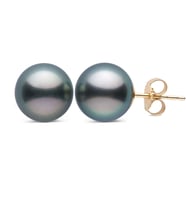 8-9 mm AAA Siyah inci Tahiti Altın Top Küpe