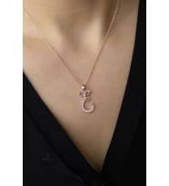 Harf Kolye 925 Ayar E Harfi Gümüş Kolye - Rose