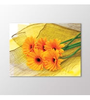 Arty Tablo Sarı Krizantemler Tablo (Karışık)