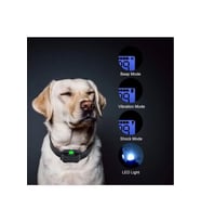Elektrikli Köpek Eğitim Tasması (Su Geçirmez)