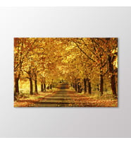 Arty Tablo Sonbahar Ağaçları Tablo (Karışık)