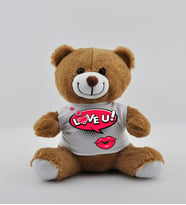 Seni Seviyorum Baskılı Peluş Ayıcık