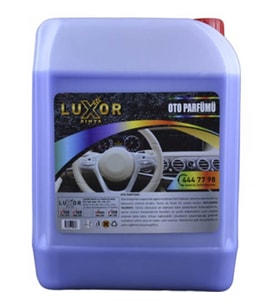 Luxor Kimya Böğürtlen Sakız Oto - Ev Kokusu 5 LT