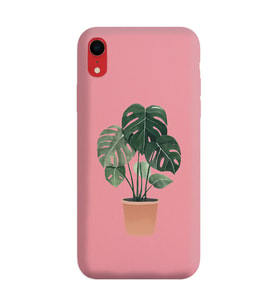 Pudra Lansman Telefon Kılıfı Iphone XR