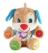 Fisher-Price Eğitici Köpekçik Mavi FPN79