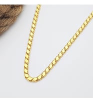 Pullu Arpa Zincir Gümüş Kolye (Gold)