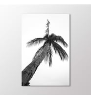 Arty Tablo Palmiye, Phi Phi Island, Phuket Tablo (Karışık)