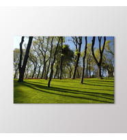 Arty Tablo Ağaçlar Tablo (Karışık)