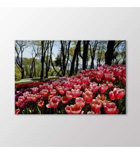 Arty Tablo Kırmızı Laleler Tablo (Karışık)