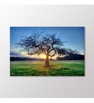 Arty Tablo Gün Batımı ve Ağaç Tablo (Karışık)