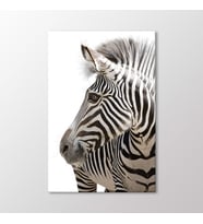 Arty Tablo Zebra Tablo (Karışık)