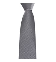 Brianze Gri Mendilli Kravat SMDK-19