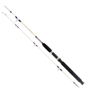 Remixon Hurricane 180Cm 20-40Lbs 2P Tekne Kamışı (Karışık)