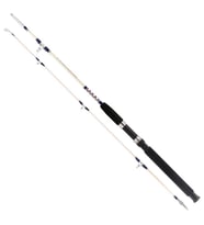 Remixon Hurricane 180Cm 20-40Lbs 2P Tekne Kamışı (Karışık)