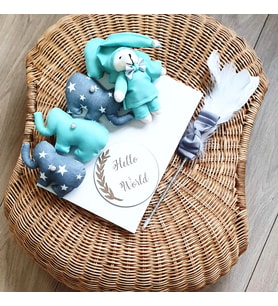 Hoş geldin bebek hediye Bebeğin İsmine Özel Olarak Hazırlanan Özel Tasarım Hello World yazılı anı defteri