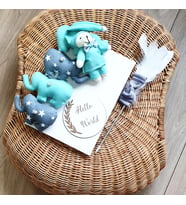 Hoş geldin bebek hediye Bebeğin İsmine Özel Olarak Hazırlanan Özel Tasarım Hello World yazılı anı defteri