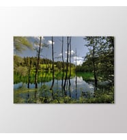 Arty Tablo Artvin Tablo (Karışık)