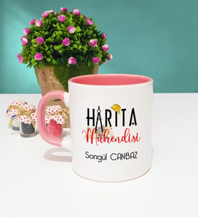 Harita Mühendisi Kupa Bardak Pembe