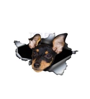 Pinscher yırtık Metal araba Sticker su geçirmez Pet çıkartması