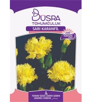Büşra Sarı Karanfil Çiçeği Paket