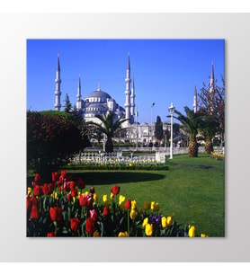 Arty Tablo Sultanahmet Camii Tablo (Karışık)