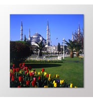 Arty Tablo Sultanahmet Camii Tablo (Karışık)