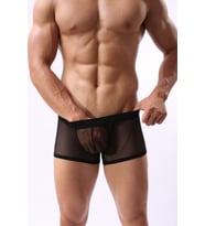 Merry See Siyah Transparan Erkek Boxer
