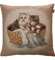 BELIEVE SEPETTEKİ KEDİ GOBLEN KIRLENT 45*45 cm 