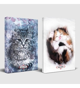 Asil Kedi ve Uykucu Kedi Planlama Defteri