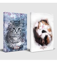 Asil Kedi ve Uykucu Kedi Planlama Defteri