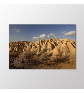 Arty Tablo Kapadokya Tablo (Karışık)
