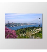 Arty Tablo Boğaz Köprüsü Tablo (Karışık)