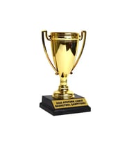 Şampiyon Kupası (17 cm)istenilen yazıyla