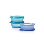 Tupperware Üç Şekerpare Saklama Kabı  600 Ml (Mavi)