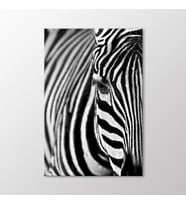 Arty Tablo Zebra Tablo (Karışık)